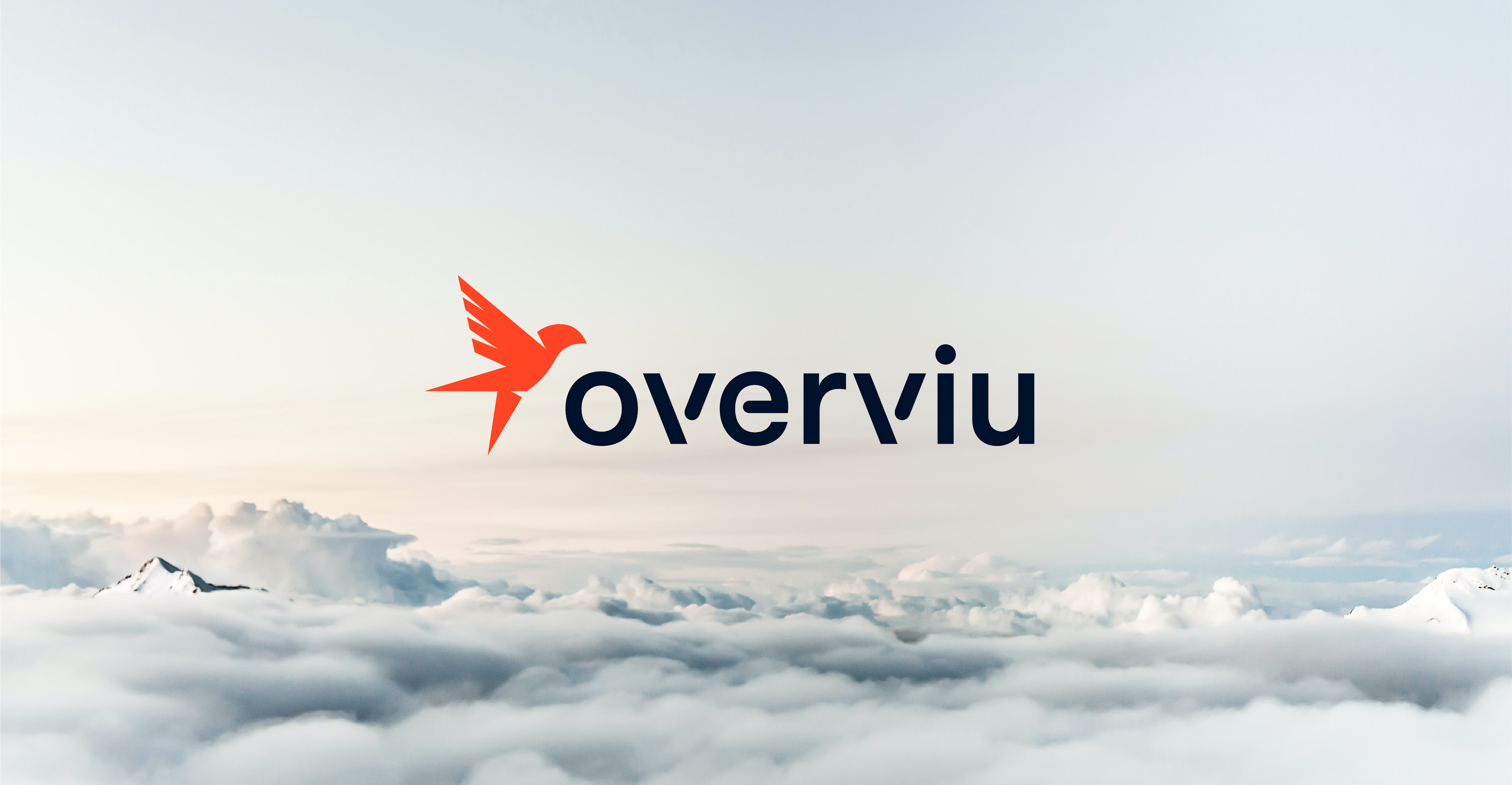 Overviu logo